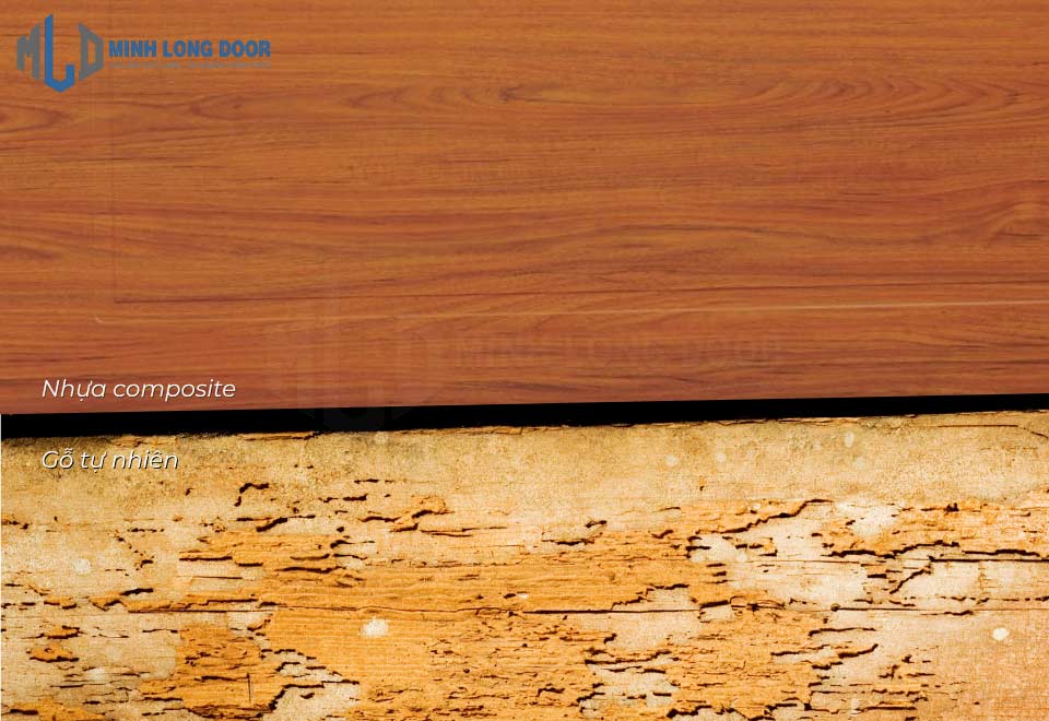 Cửa nhựa composite chống mối mọt khác biệt với cửa MDF chống ẩm